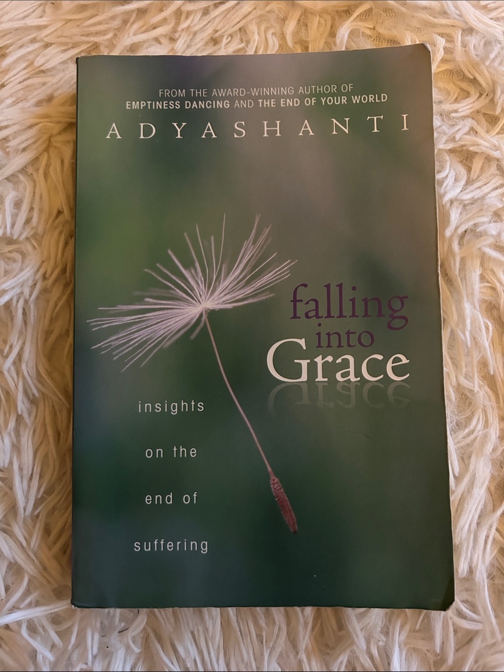 Falling Into Grace : insights into the end of suffering by Adyashanti
